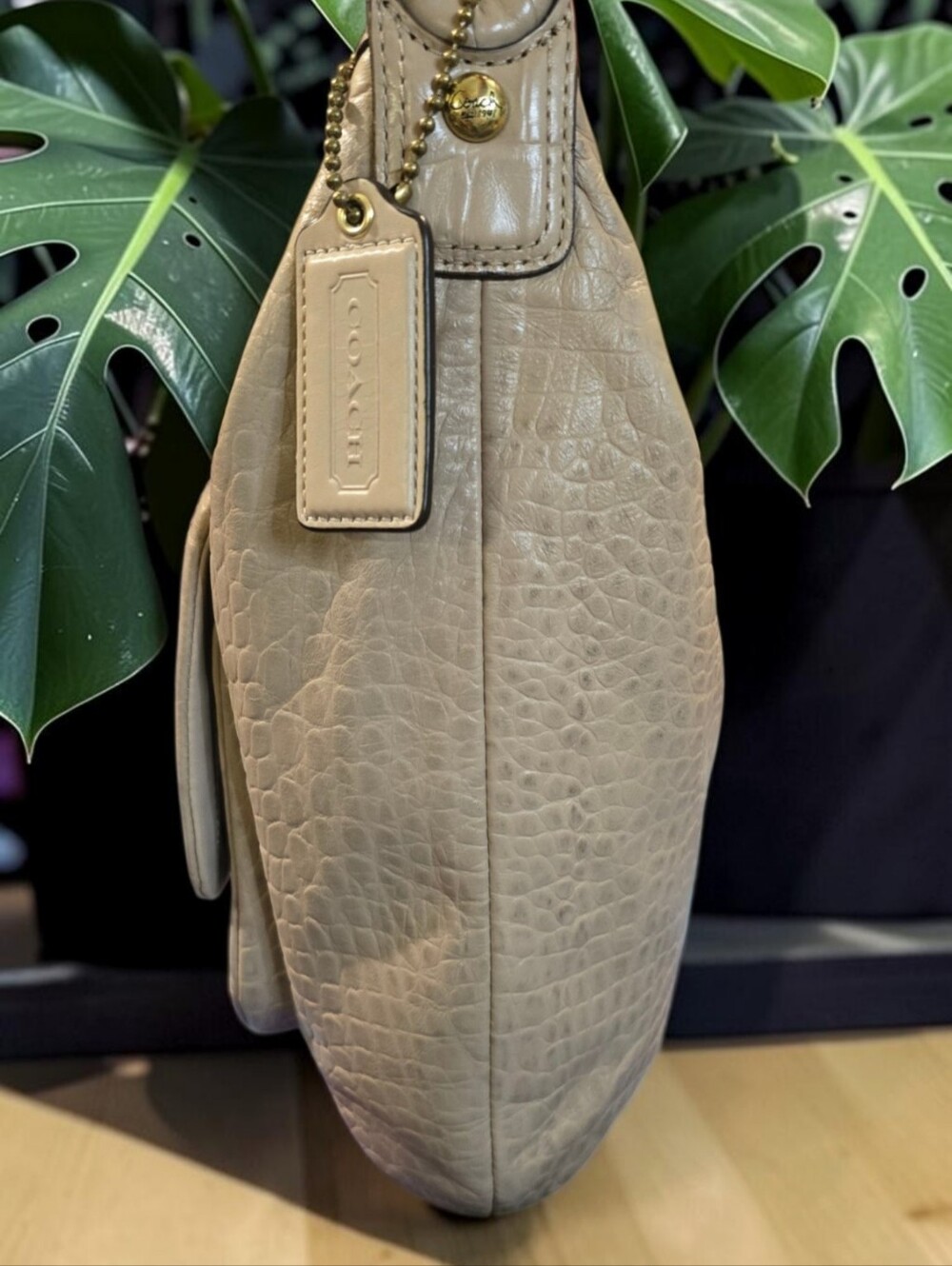 💥Coach Kristin Croc-Embossed Leather Hobo Bag - Picture 4 of 10